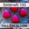 Sildénafil 100 13